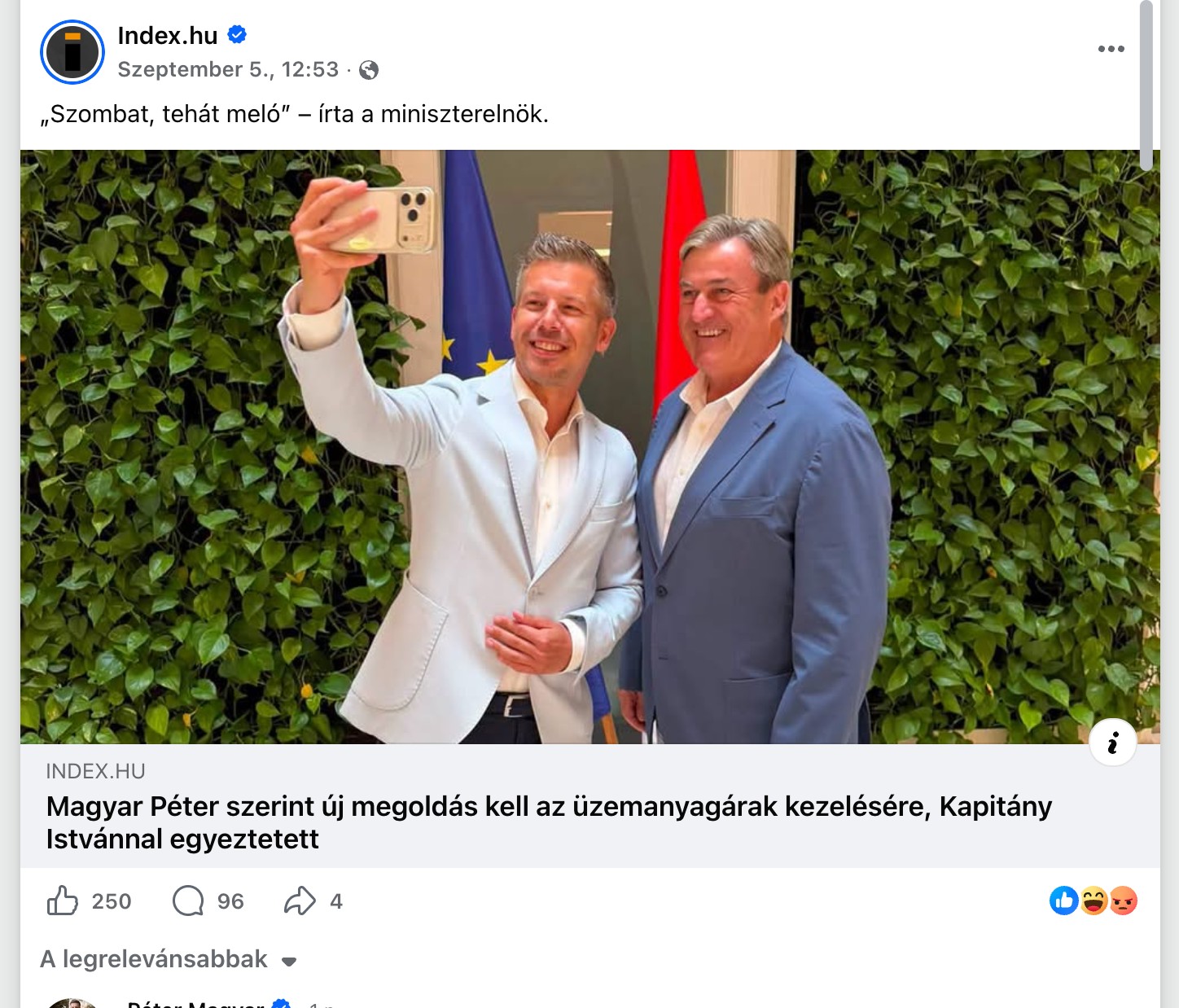 A bejegyzés képernyőképe